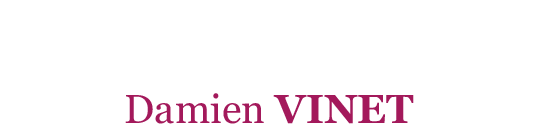 Damien Vinet, avocat à Blois